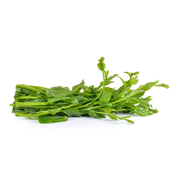 Basale / Malabar Spinach