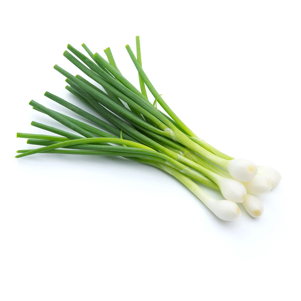 Spring Onion