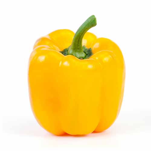 Yellow Capsicum