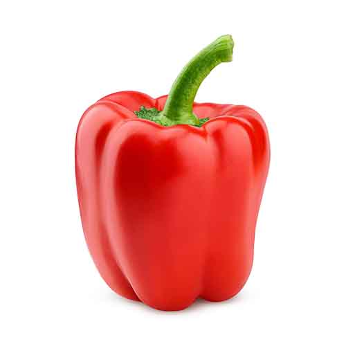 Red Capsicum