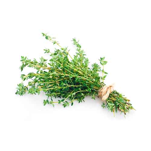 Thyme