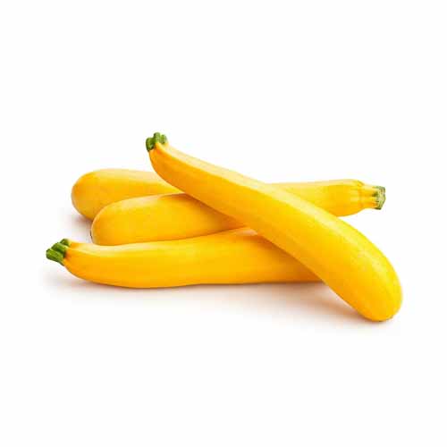Zucchini Yellow