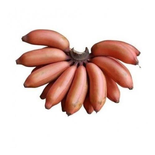 Organically grown Banana Red