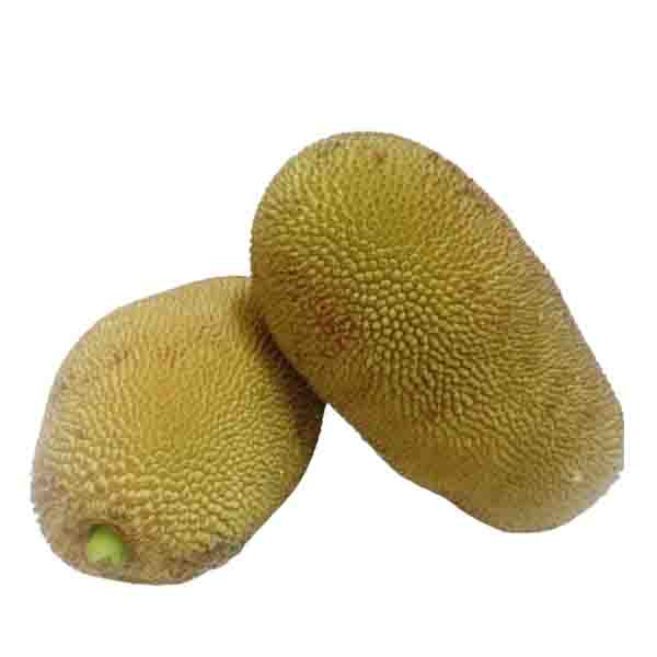 Organically Grown Raw Jackfruit