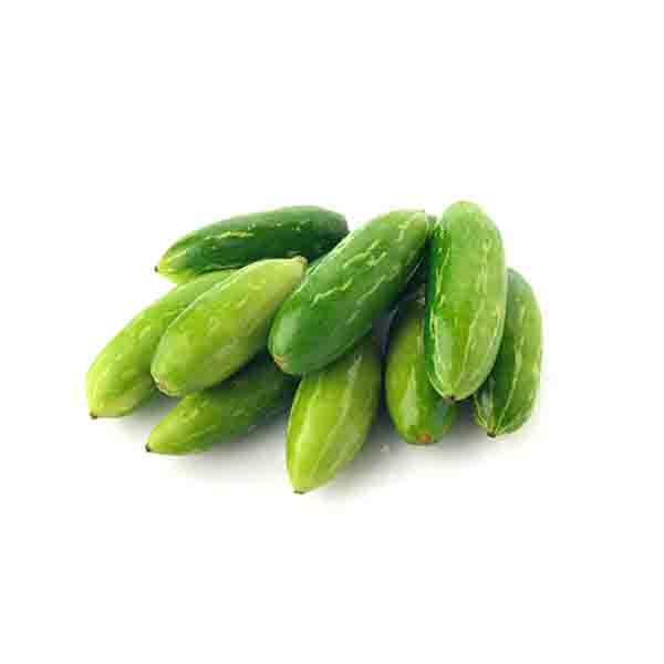 Ivy Gourd