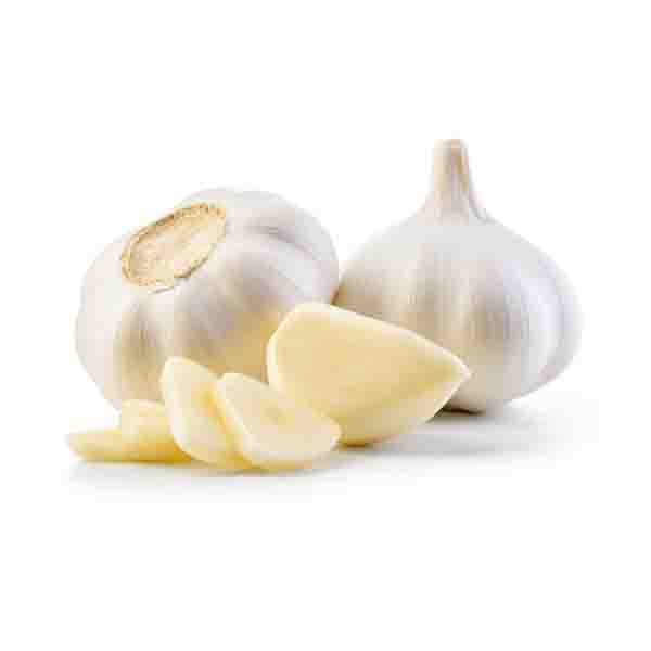 Organic Garlic