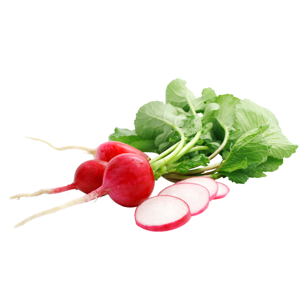 Organic Red Round Radish