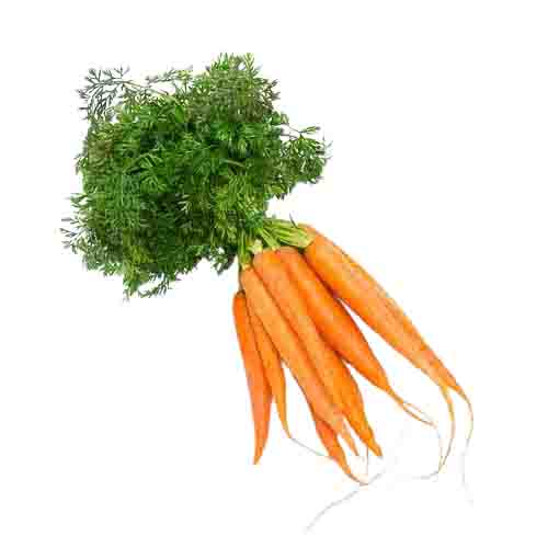 Carrot with leaves