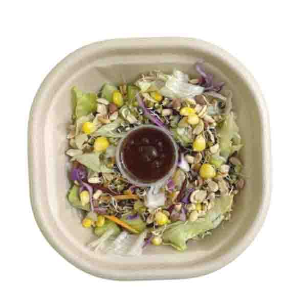 Mixed Sprouts Salad