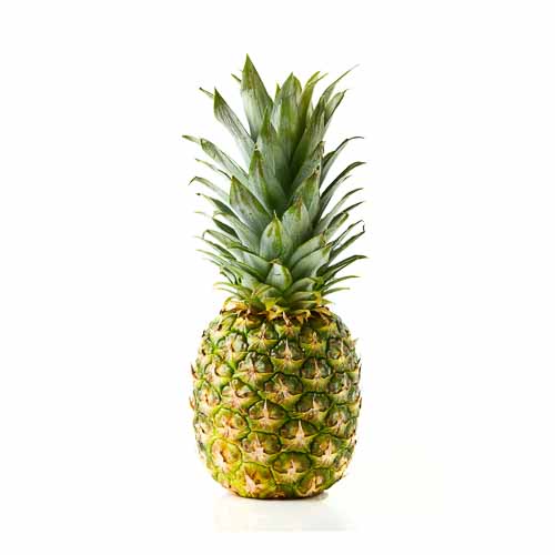 Pineapple - Medium (1000g - 1500g)