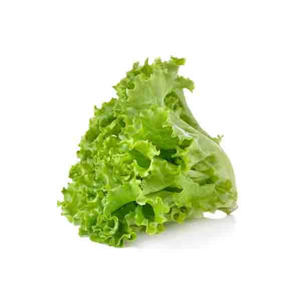 Lettuce Green leaf