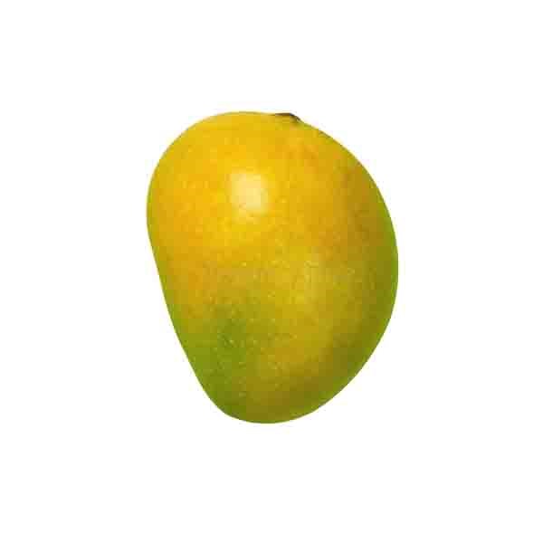 Organic Badami Mango