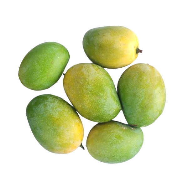 Javadhu Mango