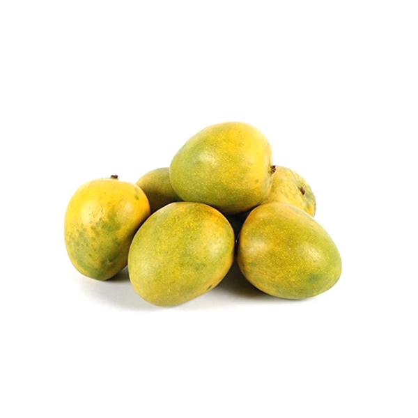 Organically grown Malgova Mango