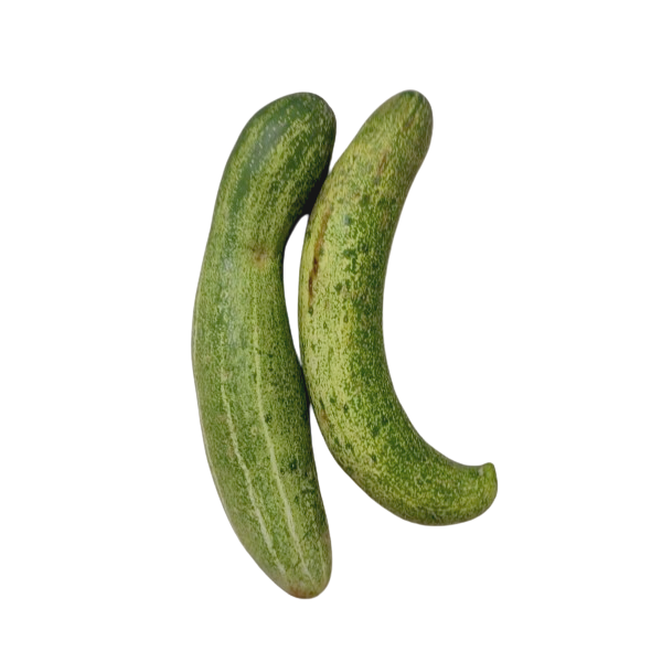 MisFit Cucumber regular