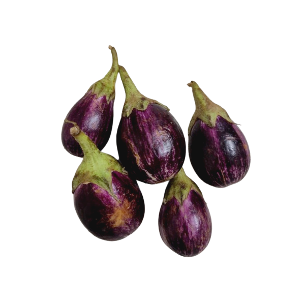 MisFit Organic Brinjal Purple Round