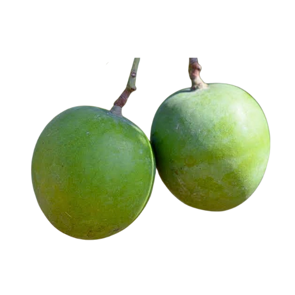 Punasa Mango