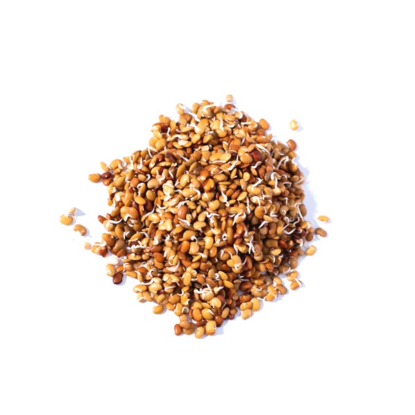 Horse Gram Sprouts