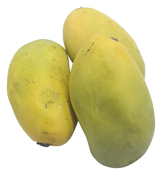 Organically grown Cheruku Rasalu Mango