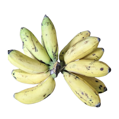 Organically grown Nanjangud Rasabale Banana