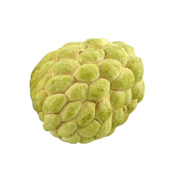 Golden Custard Apple