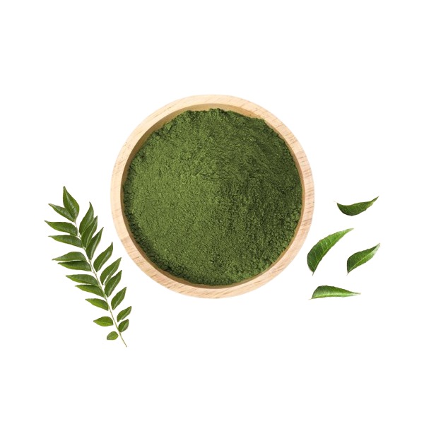 Curry Leaves Powder