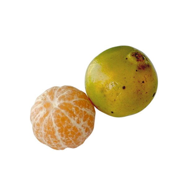 Organically grown Coorg Oranges 6 to 7 pcs (1000g - 1100g)