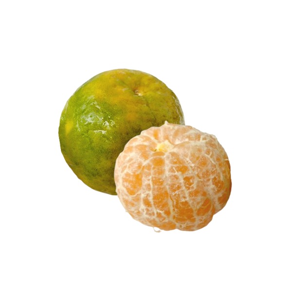 Nagpur Orange 4 to 5pcs (500g - 600g)