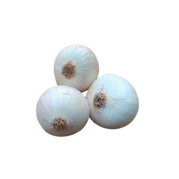 White Onion