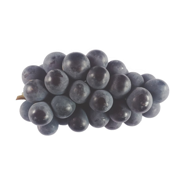 Organically Grown Bangalore Blue Grapes