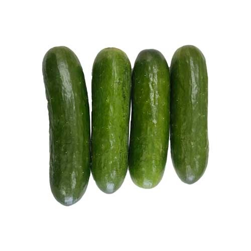 Snack Cucumber Green