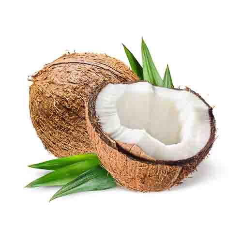 Coconut (550g - 700g)