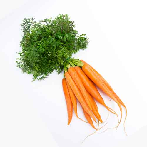 Carrot with Leaves